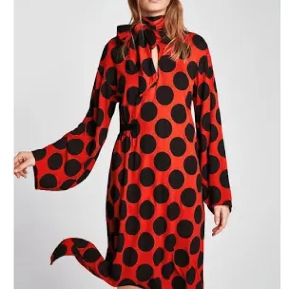 Zara Dresses & Skirts - ZARA RED POLKA DOT DRESS